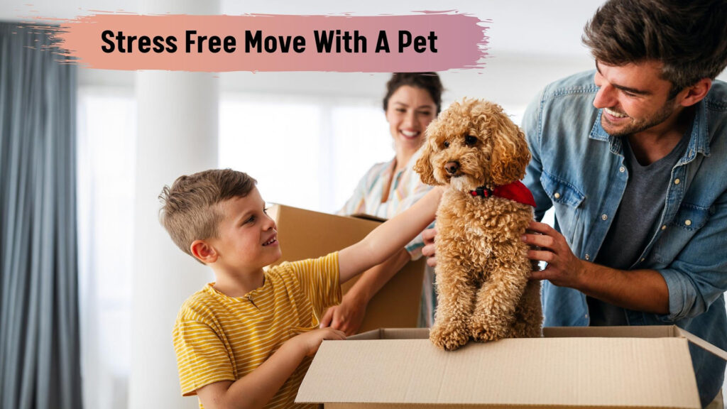 Stress-free moving with pet